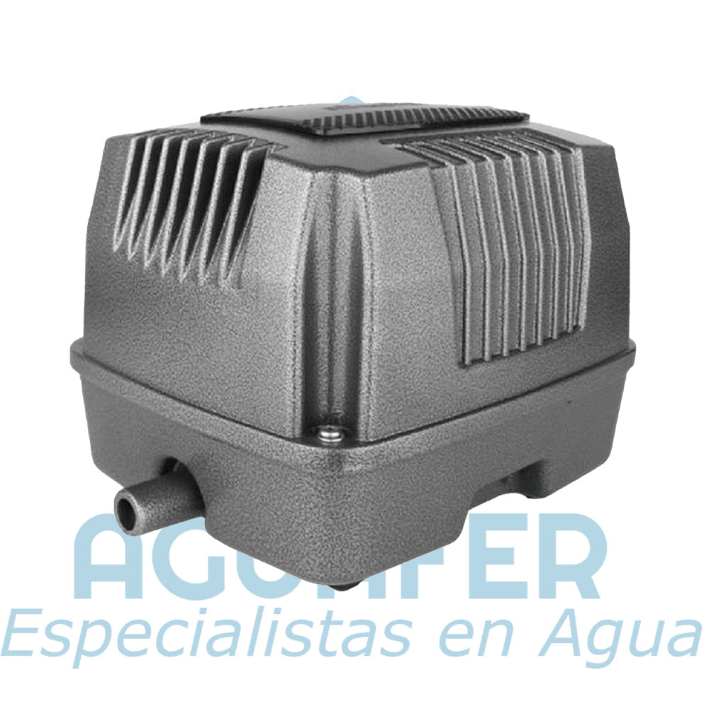 Motores Sopladores para Plantas