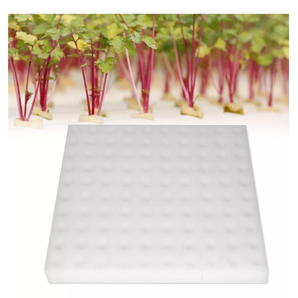 100x Esponja Hidroponia, Placa De Esponja Para Hidroponía