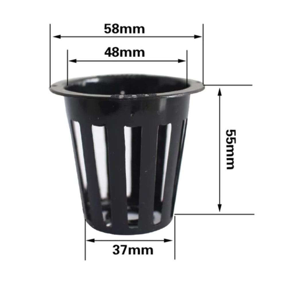 Pack De 50 Canastillos Para Hidroponía Diámetro 50mm